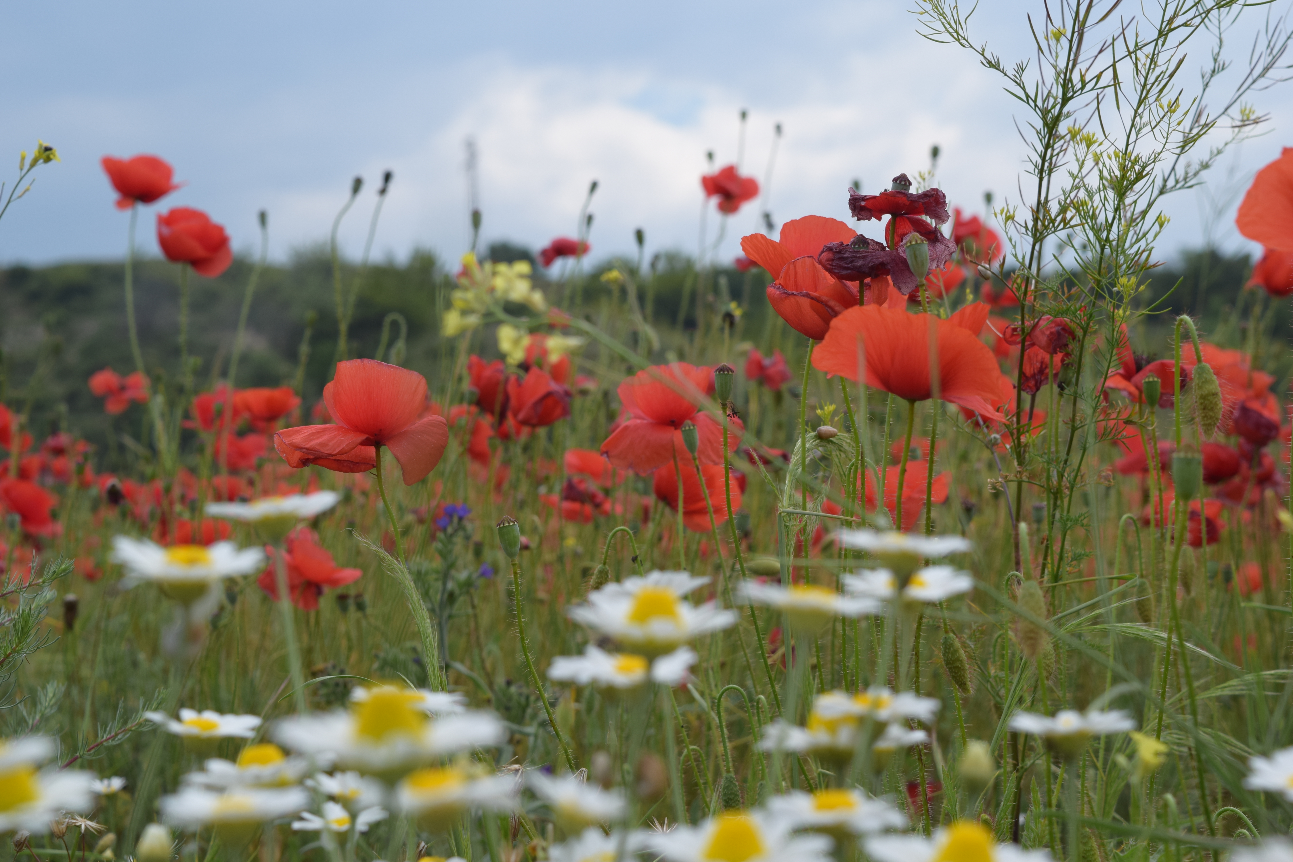 Полезни съвети – очаквайте скоро